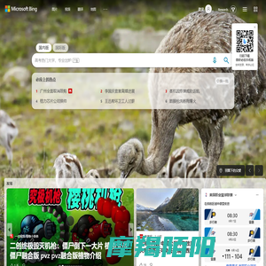 搜索